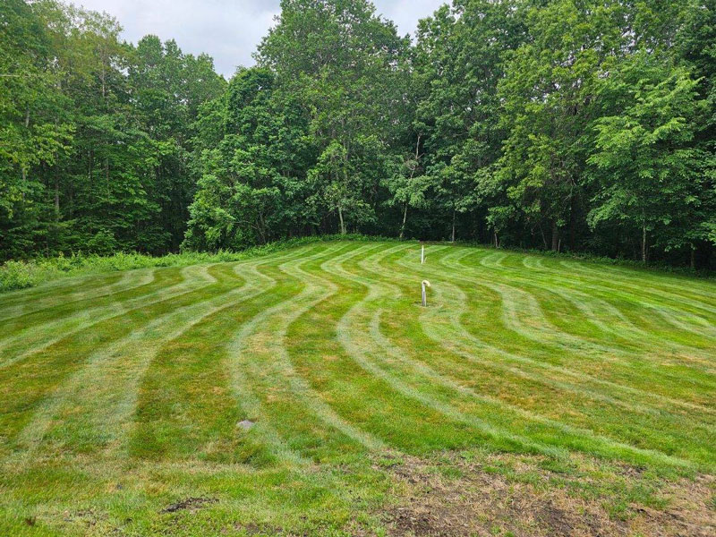 Landscaping2
