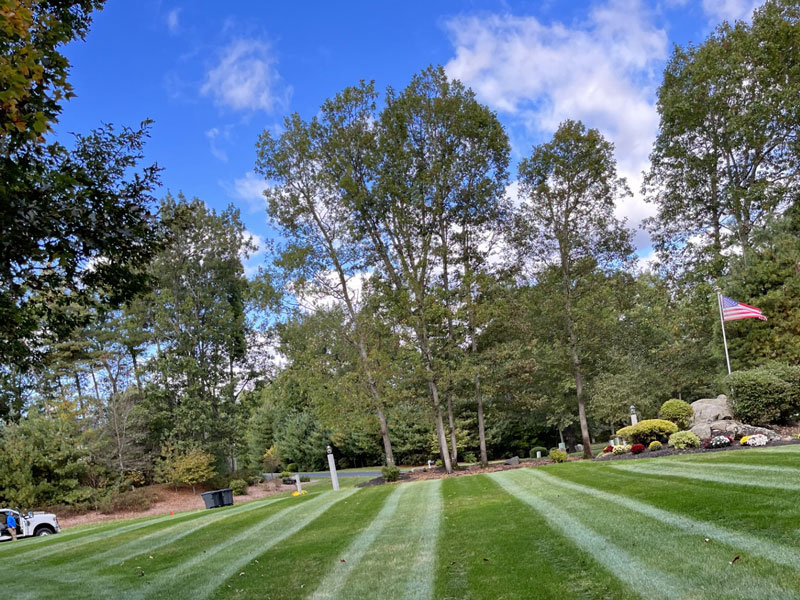 Landscaping5